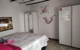 Apartment Abella